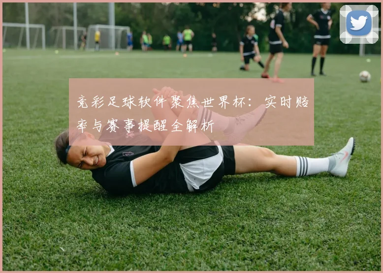 竞彩足球软件聚焦世界杯：实时赔率与赛事提醒全解析