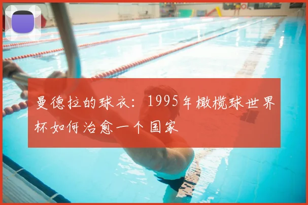 曼德拉的球衣：1995年橄榄球世界杯如何治愈一个国家