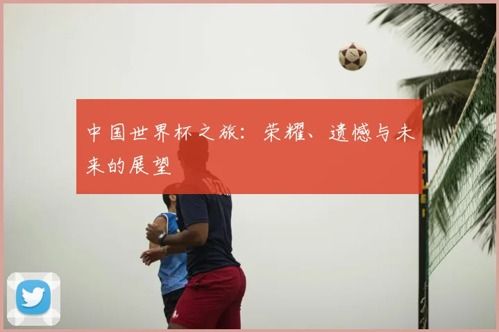 中国世界杯之旅：荣耀、遗憾与未来的展望