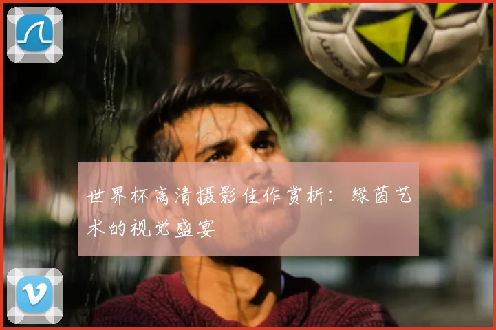 世界杯高清摄影佳作赏析:绿茵艺术的视觉盛宴