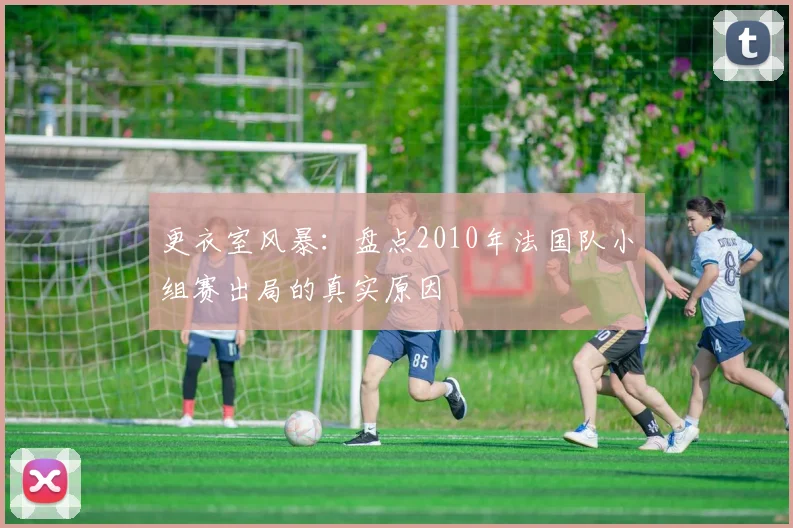 更衣室风暴：盘点2010年法国队小组赛出局的真实原因