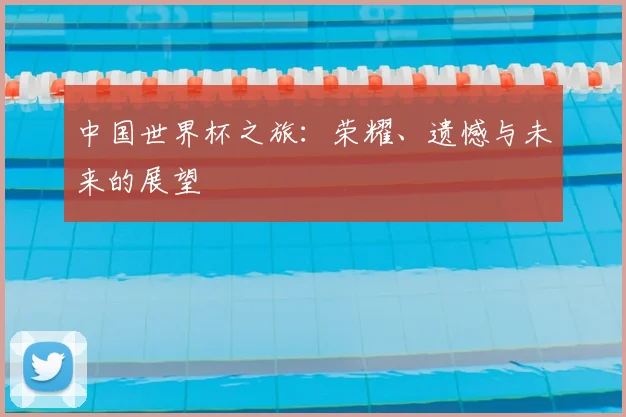 中国世界杯之旅：荣耀、遗憾与未来的展望