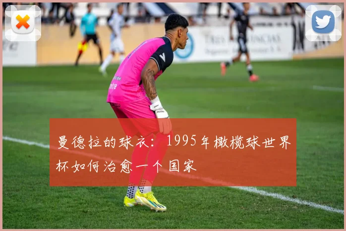 曼德拉的球衣：1995年橄榄球世界杯如何治愈一个国家