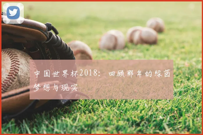 中国世界杯2018：回顾那年的绿茵梦想与现实