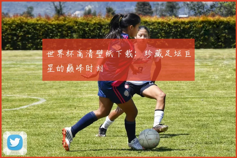 世界杯高清壁纸下载:珍藏足坛巨星的巅峰时刻