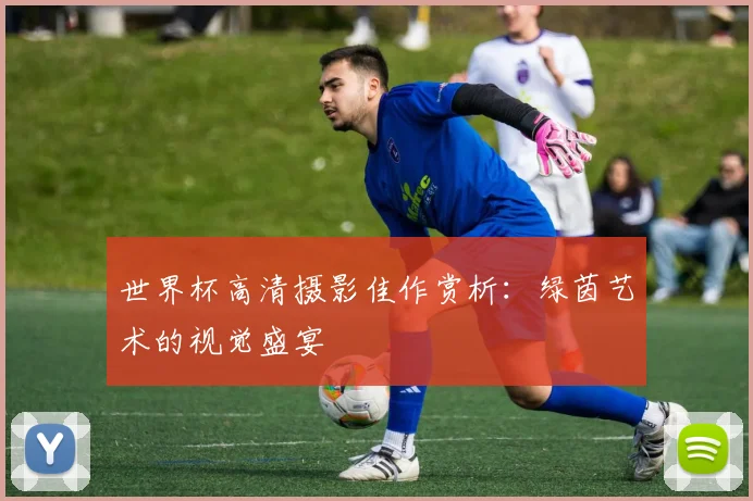 世界杯高清摄影佳作赏析:绿茵艺术的视觉盛宴