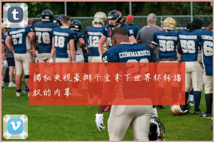 揭秘央视豪掷千金拿下世界杯转播权的内幕